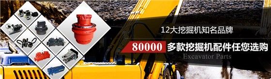 12大挖掘機(jī)有名品牌