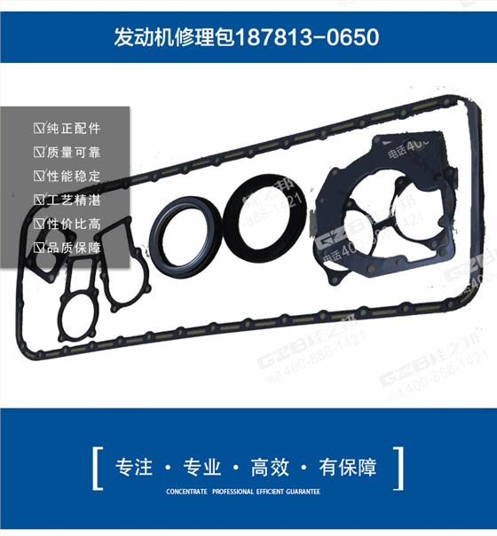 五十鈴發(fā)動機修理包