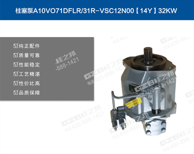 龍工65挖掘機(jī)柱塞泵